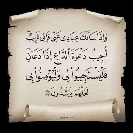 مرتل