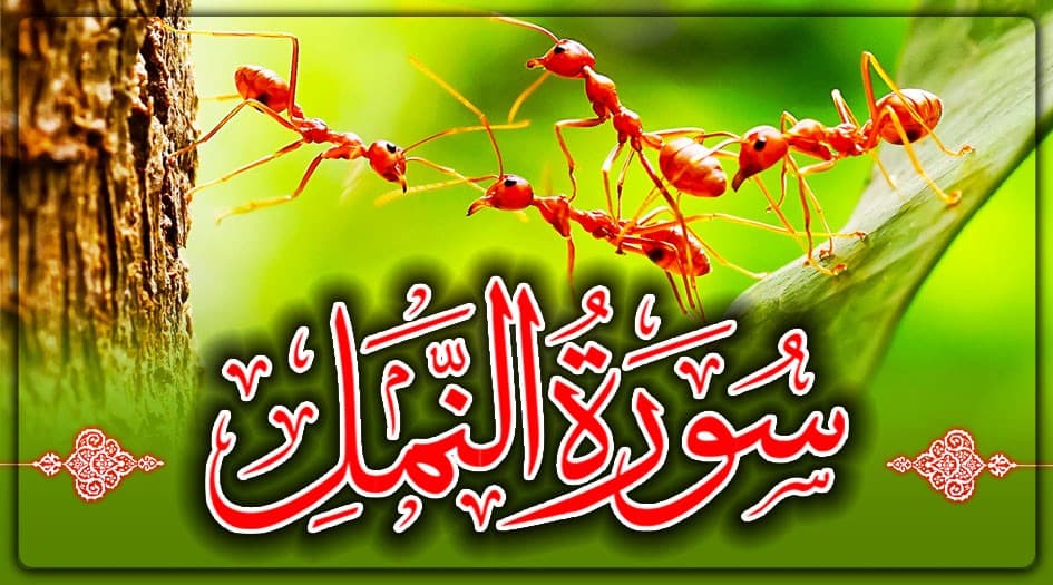 خلفية التلاوة