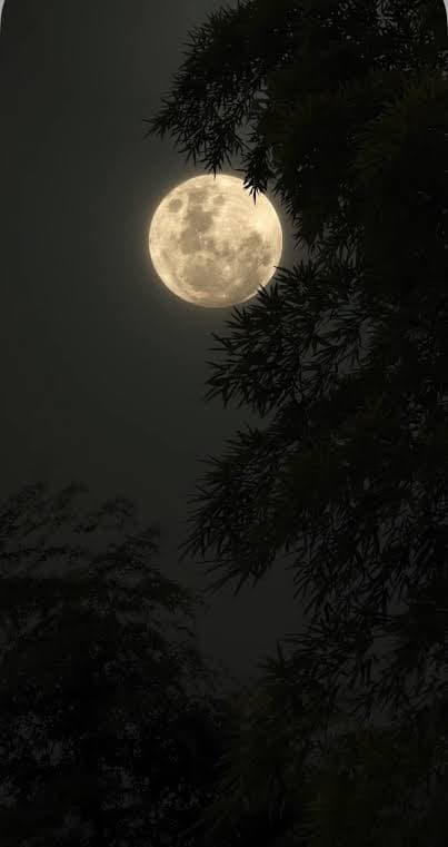 من سورة يوسف