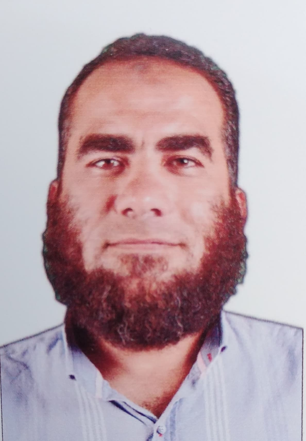 Mohamed Said ahmed hegazy