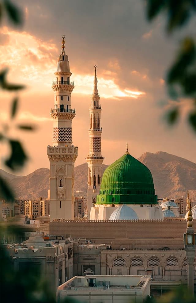 الملف الشخصي