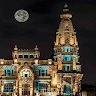 Mahmoud Khalil